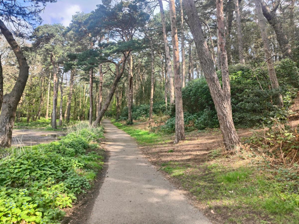 Peaceful Getaway In Forested Park ボーンマス エクステリア 写真